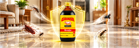 GAINDA Black Disinfectant Phenyle bottle with a protective shield, showing cockroaches, mosquitoes, flies and insects moving away inside an Indian home.